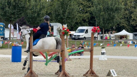 Bei einer Reitsportveranstaltung springt ein Pferd über ein Hindernis © NDR Foto: Pia Klaus