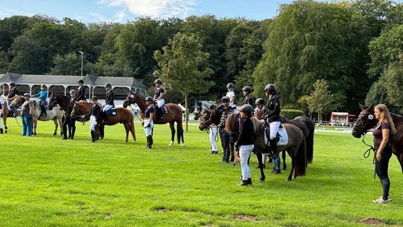 Mehrere Pferde werden bei einer Reitsportveranstaltung auf einem Rasen präsentiert © NDR Foto: Pia Klaus