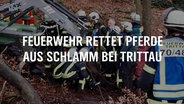 Einsatzkräfte der Feuerwehr in einem Wald, davor eine Texttafel: "Feuerwehr rettet Pferde aus Schlamm bei Trittau" © NDR Foto: NDR Screenshot