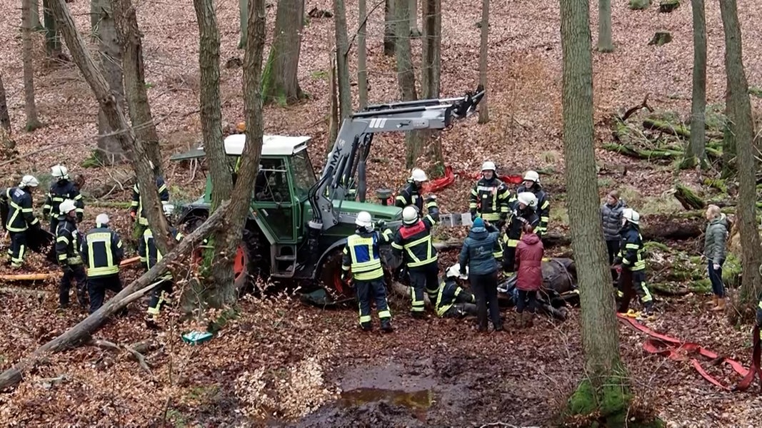 Feuerwehr rettet Pferde aus Schlamm bei Trittau