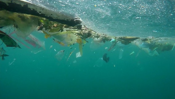 Viel Plastikmüll schwimmt an der Wasseroberfläche. © NDR 