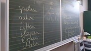 An einer Tafel stehen verschiedene Verben auf plattdeutsch, daneben einige Pronomen. © NDR Foto: Lina Bande