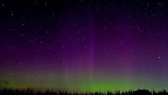 Polarlichter erstrahlen in einem Grün und Violett über einem Feld. © NDR Foto: Peer-Axel Kroeske