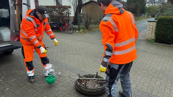 Zwei Mitarbeiter von der Stadtentwässerung Wedel setzen eine Vorrichtung für Rattenbekämpfung in einen Kanalschacht ab. © NDR Foto: Lena Haamann