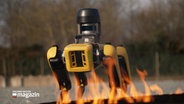 Ein Roboter untersucht ein Feuer. © NDR 