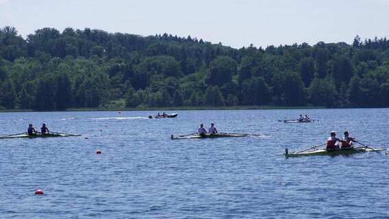 Viele Ruderer trainieren auf einem See beim WM-Qualifikationsrennen in Ratzeburg. © NDR Foto: Thorsten Philipps