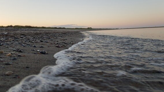 Ein Sandstrand mit vielen Steinen auf der linken Seite und dem Meer auf der rechten Seite. Beide treffen sich in der Mitte des Bildes an der Wasserkante. © Corvin Bethien Foto: Corvin Bethien