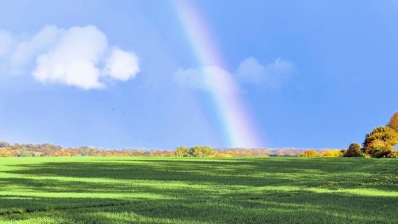 Ein Regenbogen über einem Feld. © Peter Olsen Foto: Peter Olsen