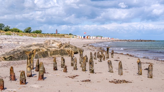 Holzbuhnen sind im Sand zu sehen, im Hintergrund steht der Leuchtturm von Behrensdorf. © Ursula Potts Foto: Ursula Potts
