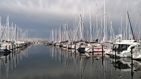 Viele Segelboote liegen im Hafen von Heiligenhafen. © Ralf Meutgens Foto: Ralf Meutgens