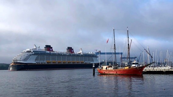 Die "Disney Dream" mit den German Naval Yards Kränen im Hintergrund. © Christine Schneider Foto: Christine Schneider