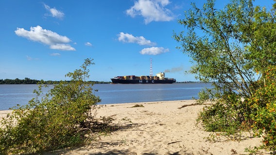 Von einem Sandstrand aus ist ein Containerschiff auf der Elbe zu sehen. © Reinhard Hill Foto: Reinhard Hill