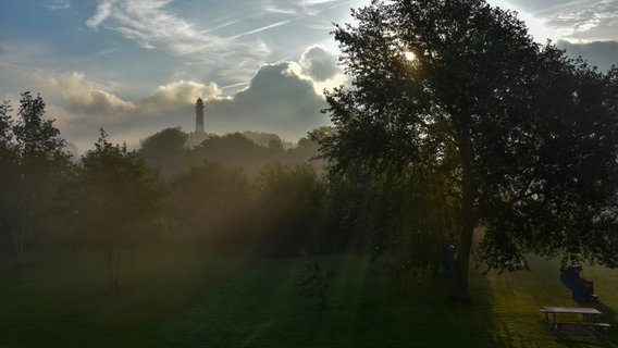 Sonnenstrahlen scheinen durch eine Baumkrone, am Horizont steht ein Leuchtturm. © Petra Heesch Foto: Petra Heesch