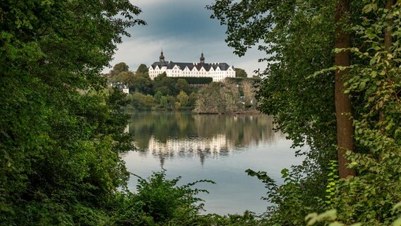 Das Plöner Schloss in der Ferne, umrandet von Gebüsch im Vordergrund. © Andreas Thomsen Foto: Andreas Thomsen