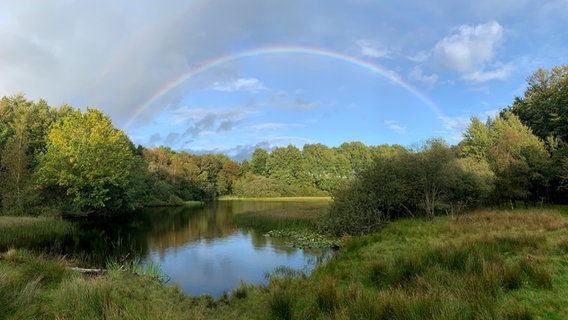 Ein Regenbogen über einem kleinen Gewässer zwischen Bäumen und Gebüsch. © Frauke Jessen Foto: Frauke Jessen