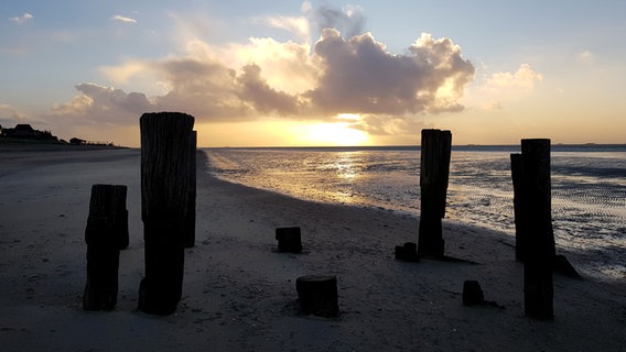 Holzpfähle am Strand, im Hintergrund der Sonnenaufgang über der Nordsee. © Volker Trümner Foto: Volker Trümner