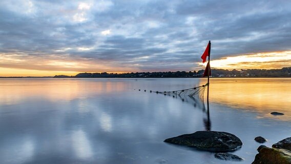 Ein Fischernetz hängt bei Schleswig bei Sonnenuntergang im Wasser. © Bodo Puttins Foto: Bodo Puttins