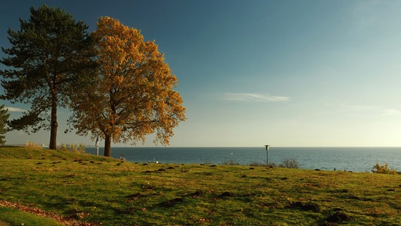 Die Mittagssonne steht über der Ostsee. © Marlies Klies Foto: Marlies Klies