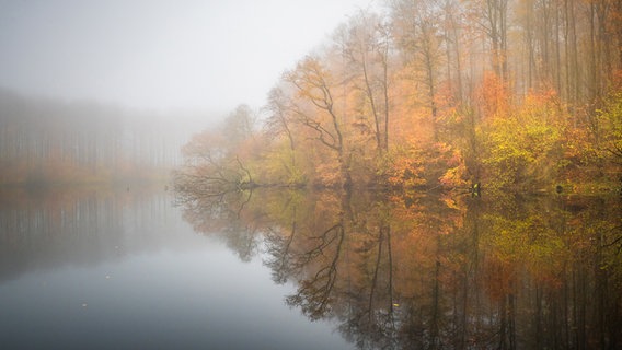 Ein See mit herbstlichen Bäumen am Rand. © Bodo Puttins Foto: Bodo Puttins