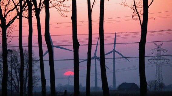 Sonnenuntergang mit Blick auf die Silhouette von Bäumen und Windräder sowie Strommasten im Hintergrund. © Christel Pruter-Kock Foto: Christel Pruter-Kock