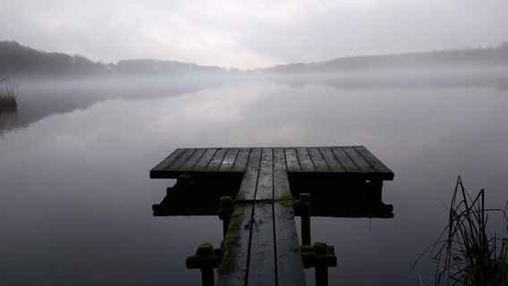 Dunst liegt über einem See, im Vordergrund ist ein Steg zu sehen. © Elisabeth Kleer Foto: Elisabeth Kleer