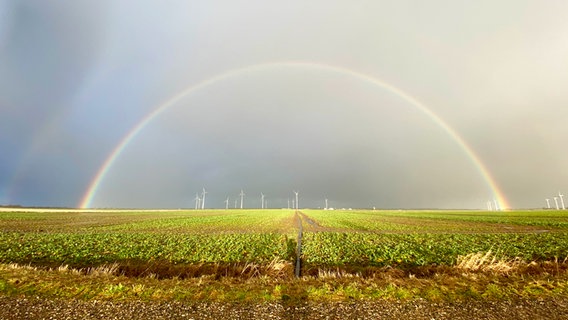 Ein großer Regenbogen vor grauem Himmel über grünen Feldern. © Tanja Bannert Foto: Tanja Bannert