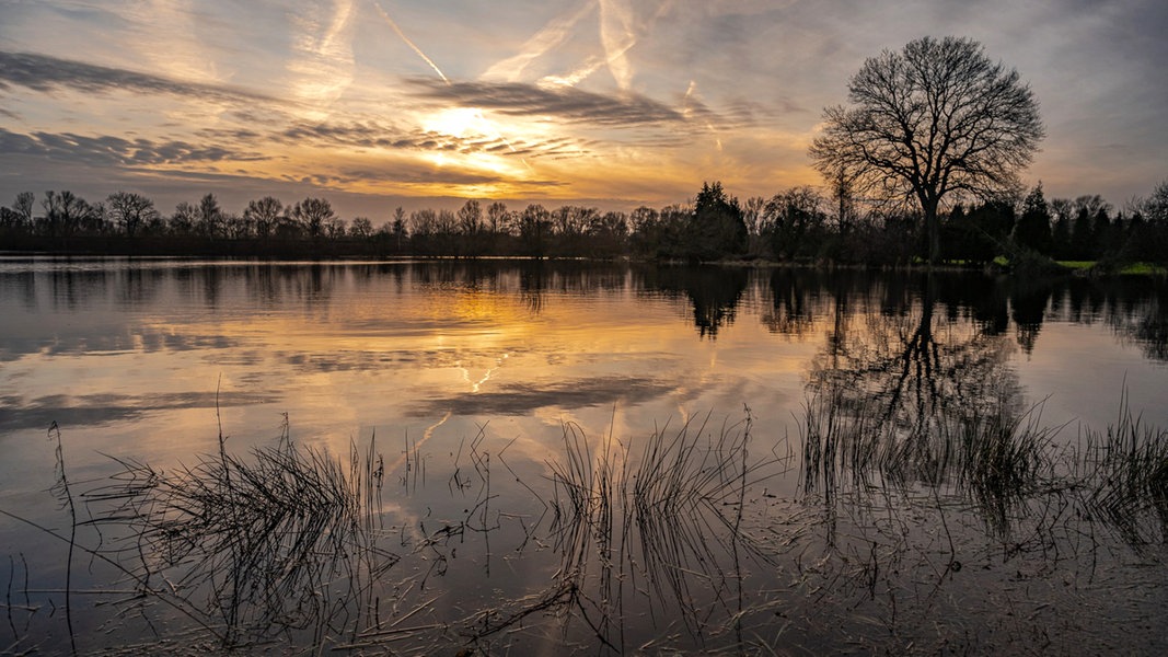 Land will Niederungen in Schleswig-Holstein besser schützen