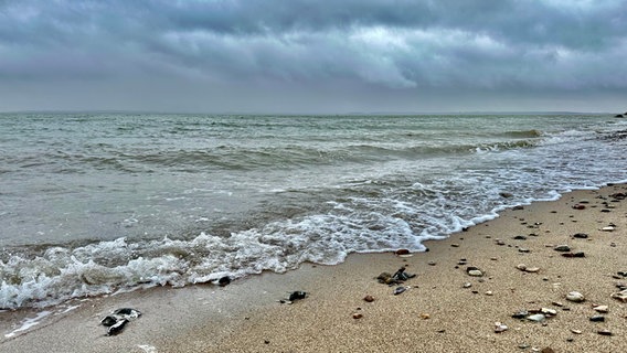 Wellen schwappen an den Strand unter dunklem Himmel. © Freya von Eckardstein-Kirchhoff Foto: Freya von Eckardstein-Kirchhoff