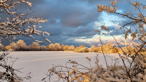 Ein mit Schnee bedecktes Feld. © Stefan Heimann Foto: Stefan Heimann