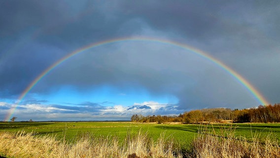 Vollständiger Regenbogen über einem Feld bei Nindorf. © Bärbel Heesch Foto: Bärbel Heesch