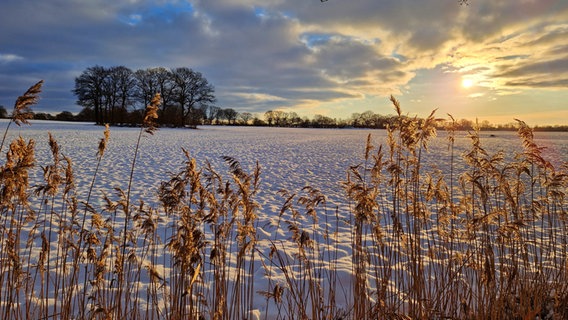 Ein Feld mit Schnee im Sonnenuntergang. © Maike Husen Foto: Maike Husen