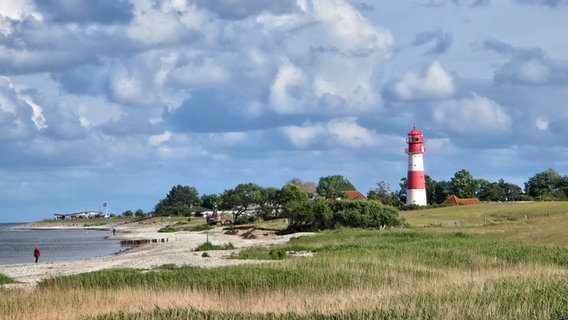 Ausblick auf einen Leuchtturm an der Ostseeküste. © Birgit Instenberg Foto: Birgit Instenberg