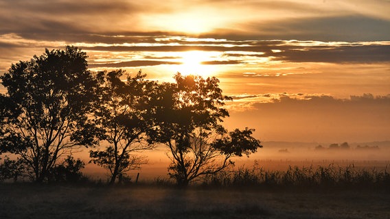 Morgendliche verträumte Stimmung im Fielder Moor kurz nach Sonnenaufgang. © Grit Behrens-Esche Foto: Grit Behrens-Esche