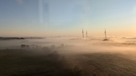Nebelschwaden über der flachen Lanschaft von Schleswig-Holstein. © Svenja Timm Foto: Svenja Timm