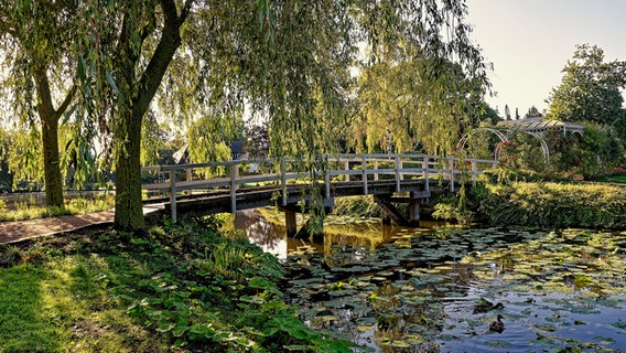 Eine weiße Brücke zwischen zwei Trauerweiden führt über einen mit Seerosen bedeckten Bach zum Rosarium. © Ralf Hansen Foto: Ralf Hansen