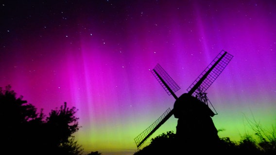 Polarlichter hinter einer Windmühle über der Geltinger Bilk. © Tanja Boysen Foto: Tanja Boysen