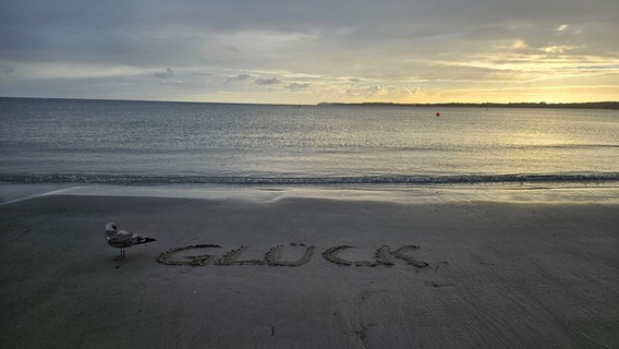 Im Travemünder Sand steht das Wort "Glück" geschrieben. Daneben putzt sich gerade eine Möwe. © Julia Haupt Foto: Julia Haupt