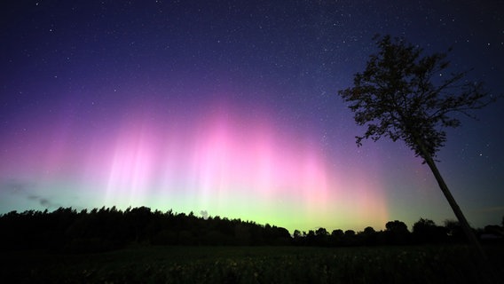 Polarlichter am Himmel über Schleswig-Holstein © Franziska Kolm Foto: Franziska Kolm