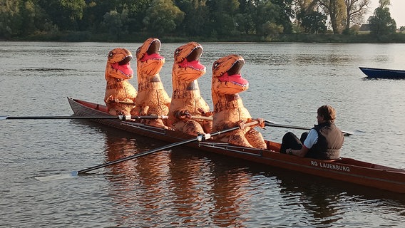 Ein Ruderboot, das als Dinos verkleidete Ruderer an board hat. © Gerhard Brandt Foto: Gerhard Brandt