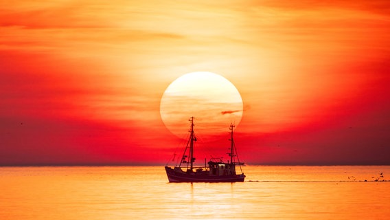 Ein Schiff liegt direkt vor der untergehenden Sonne auf dem Wasser. © Andrea Sachau Foto: Andrea Sachau