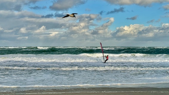 Ein Windsurfer und eine Möwe am Strand von Westerland (Sylt). © Cornelia Göricke-Penquitt Foto: Cornelia Göricke-Penquitt