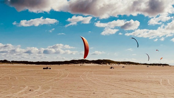 Strandsegler lassen sich durch den Wind über den Sand tragen. © Janina Brandt Foto: Janina Brandt