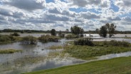 Die Elbe ist bei Lauenburg über ihre Ufer getreten, sodass ein Feld unter Wasser steht. © Ore Friese Foto: Ore Friese