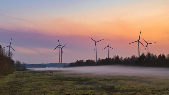 Windräder bei Beringstedt im Sonnenuntergang © Ralf Horstmann Foto: Ralf Horstmann