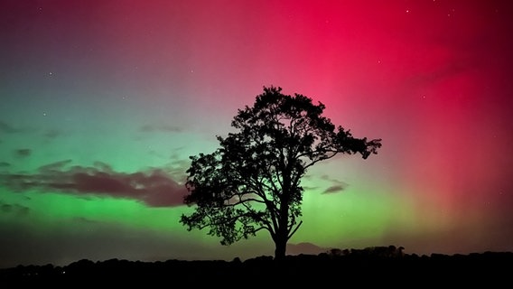 Polarlichter leuchten in bunten Farben über dem Sanddeich in Kollmoor. © Justus Busch Foto: Justus Busch