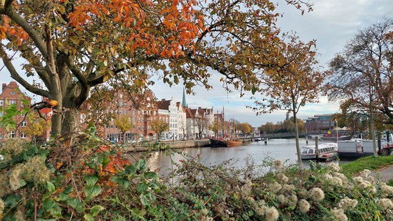 Herbststimmung in Lübeck mit Blick über die Trave. © Manuela Kaiser Foto: Manuela Kaiser