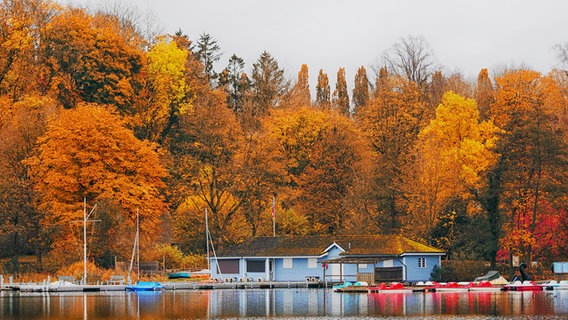 Der Blick über den Großen Segeberger See zeigt die bunten Farben einer Hütte und Booten im Kontrast zu den goldenen Herbstbäumen. © Hans-Otto Klies Foto: Hans-Otto Klies