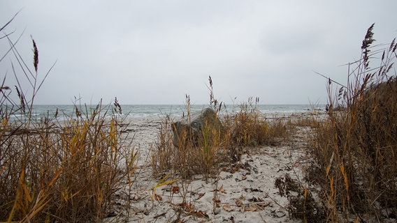 Der Strand von Grömitz im Herbst. © Klaus Erlwein Foto: Klaus Erlwein