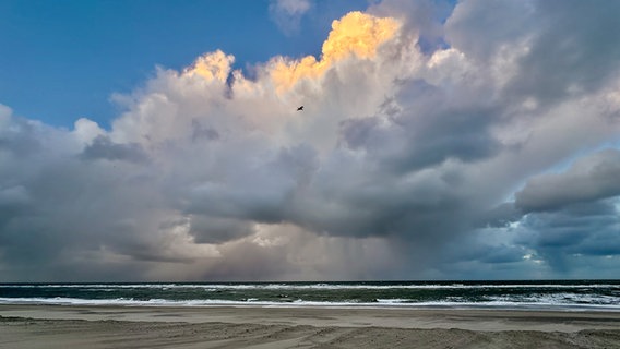 Die Wolken über der Nordsee bei Westerland (Sylt). © Cornelia Göricke-Penquitt Foto: Cornelia Göricke-Penquitt