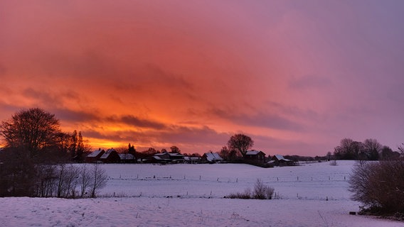 Der Rodelberg bei Mohrkirch von Schnee bedeckt. © Regina Truelsen Foto: Regina Truelsen